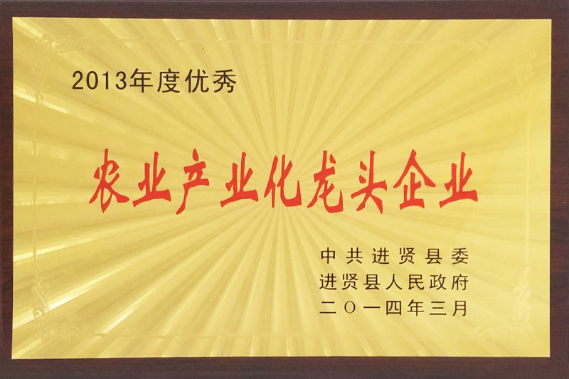 農(nóng)業(yè)產(chǎn)業(yè)化龍頭企業(yè)
