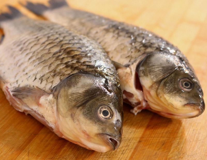 鯽魚