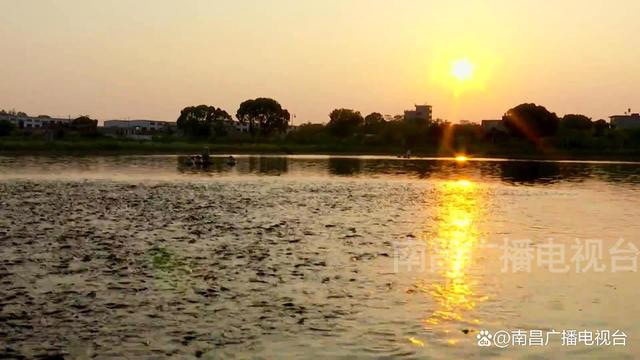 南昌：“精準(zhǔn)落子”賦能鄉(xiāng)村振興