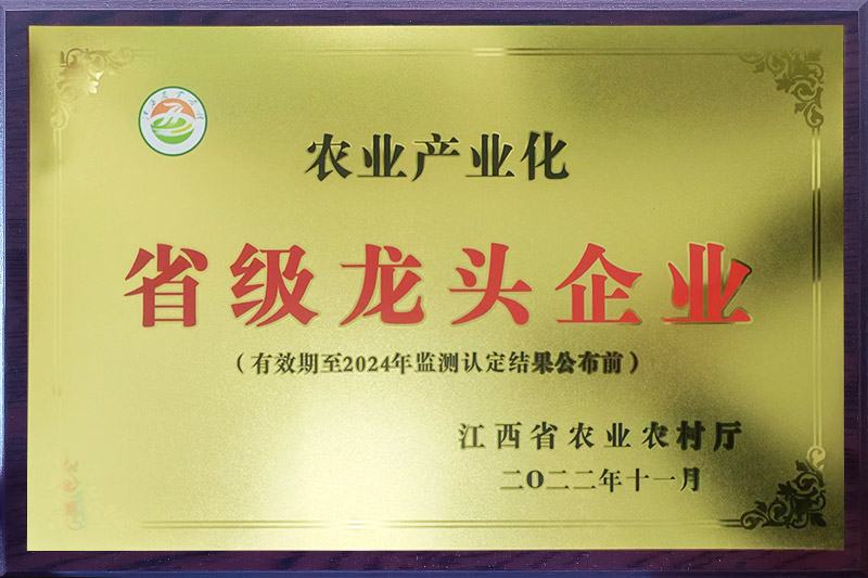 省級(jí)龍頭企業(yè)